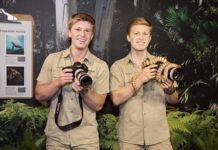 Robert Irwin comes face-to-face with his wax figure