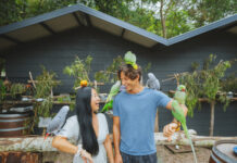 Summer holidays are a great time to explore your own backyard