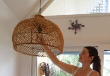 Renting? How you can save money while reducing greenhouse emissions