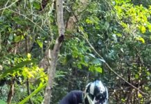 E-bikes in national parks raises concern