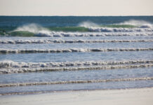 WSL pro returns to Noosa