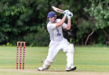 Unbeaten round for Noosa senior teams