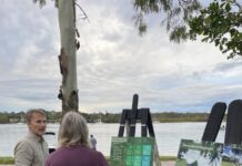 Feedback to shape foreshore plan