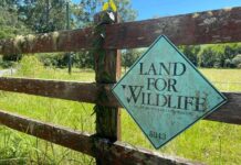 Remnant habitat lost but vegetation increases on Sunshine Coast