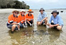 Seagrass trial for water and wildlife