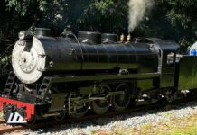 Volunteer on the trains