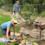 1001ORGANI_450546_06