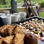 1001ORGANI_450546_11