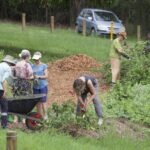 1001ORGANI_450546_14