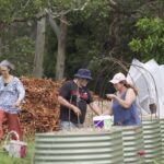 1001ORGANI_450546_16