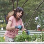 1001ORGANI_450546_17