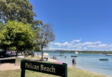 Noosa beach-goers stay cool in the heatwave
