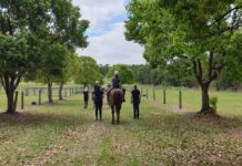 Riding for disabled seeks volunteers