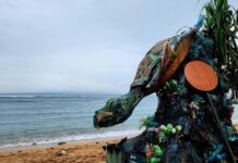 Around Noosa and beyond