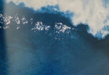 Average bloke from Pascoe Vale