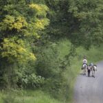2802ENDURA_458405_04