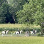2802ENDURA_458405_08