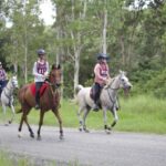 2802ENDURA_458405_18