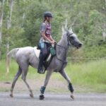 2802ENDURA_458405_34
