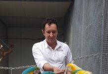 Feeding wild birds, a vet’s perspective