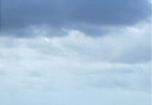 Teenage girl dies in Bribie Island shark attack