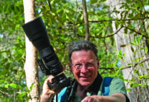 Living with Noosa’s wildlife