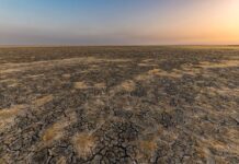 Macquarie bank heeds Wide Bay climate call