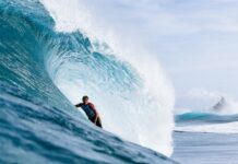 Wildcards and debutants at Pipe