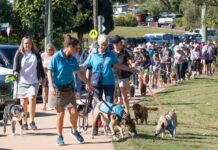RSPCA’s last ever Million Paws Walk event to be held in May