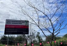 Council acts to stop plant poisoning