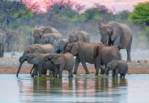 An unforgettable adventure