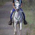 0703BONY_461912_09