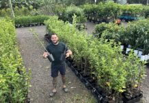 Expect the unexpected in tropicals