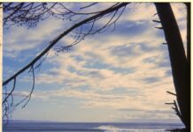 Remembering our surf history