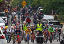 Sustainable transport workshops spark innovative ideas for Noosa