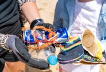 Beach cleanup to begin with community once safe