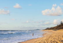 Noosa’s coastal clean-up begins, and residents can help