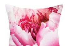 Sunlight, style, and serenity: Transforming your Noosa home