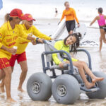 Seahorse_462890_02