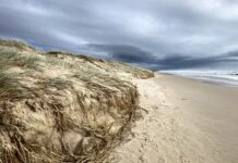 Noosa prepares as cyclone nears
