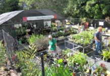 Autumn plant sale coming up