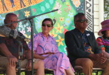 Allies reflect on Truth-telling Inquiry