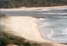 From panel van to pillar of Noosa: NEACH celebrates 50 years