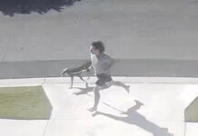 Police seek to identify man in CCTV after Peregian Beach assault