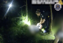 Police arrest six people after tracking two stolen cars