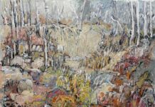 Top of their game, exhibition highlights regions best