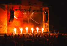 Big Pineapple Festival announces 2025 date