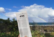 Local wins $4.71 million with Lotto jackpot ticket from Noosa Village News
