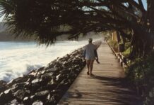 Work starts on design process for Noosa seawall