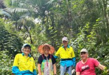 Join the Noosa Bushcare Open Field Day this Sunday